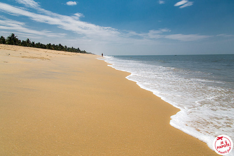 Plage Marari Kerala