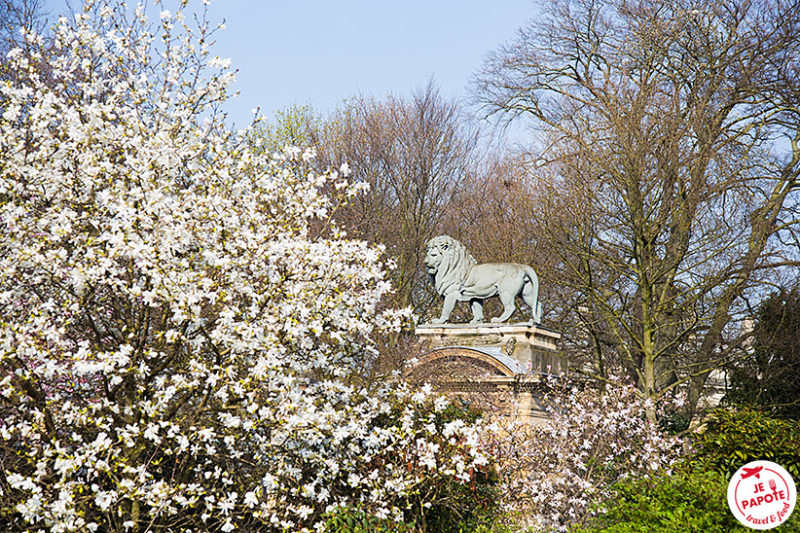 Jardin de Bruxelles