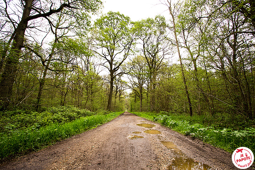 Veloscenie en vallée de Chevreuse