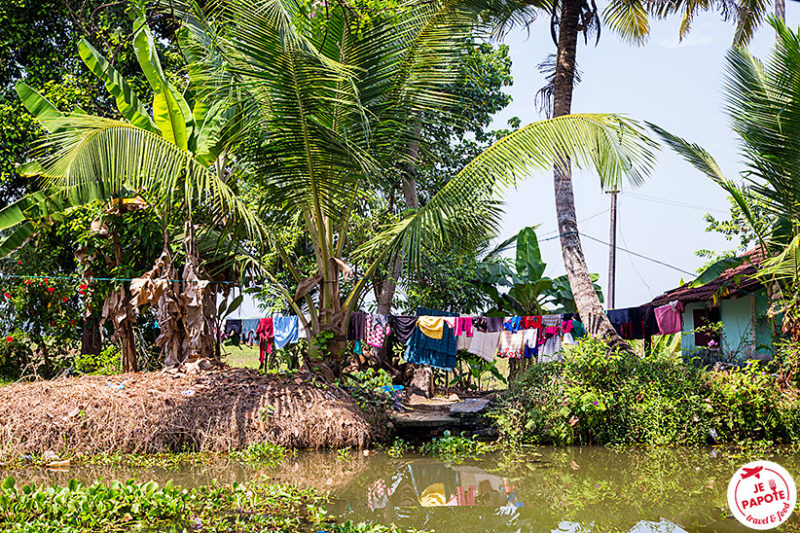 Village Kerala