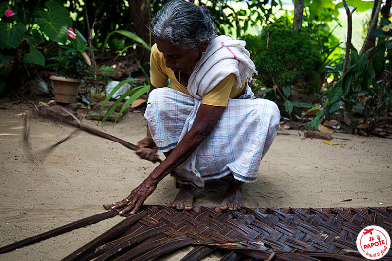 Visite village Kerala