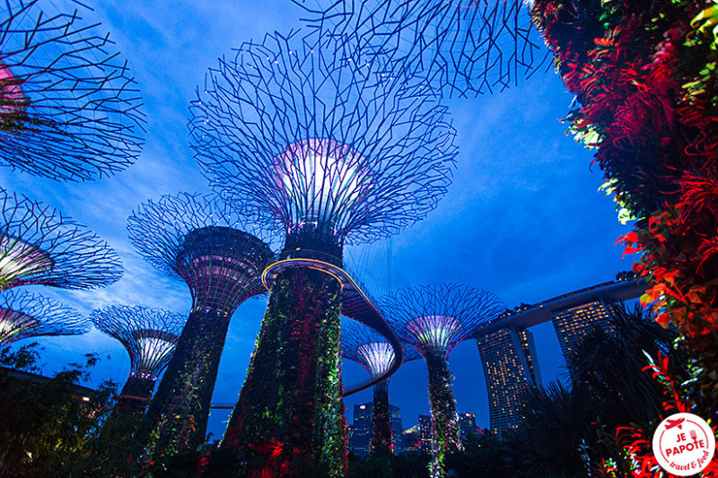 Gardens by the Bay