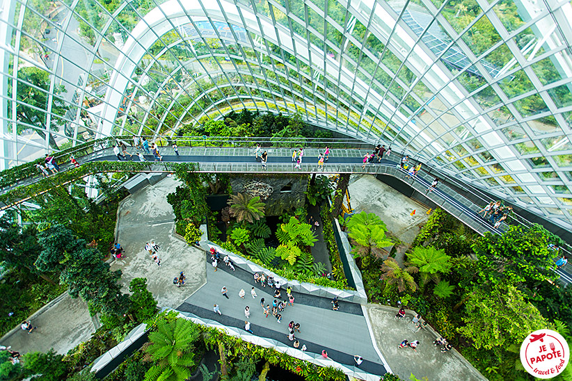 Garden by the bay dome Singapour