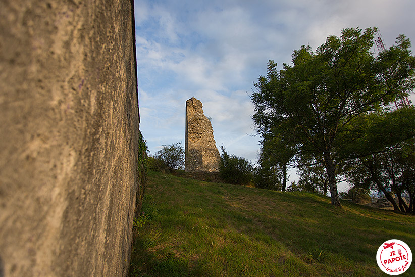 La tour sans venin