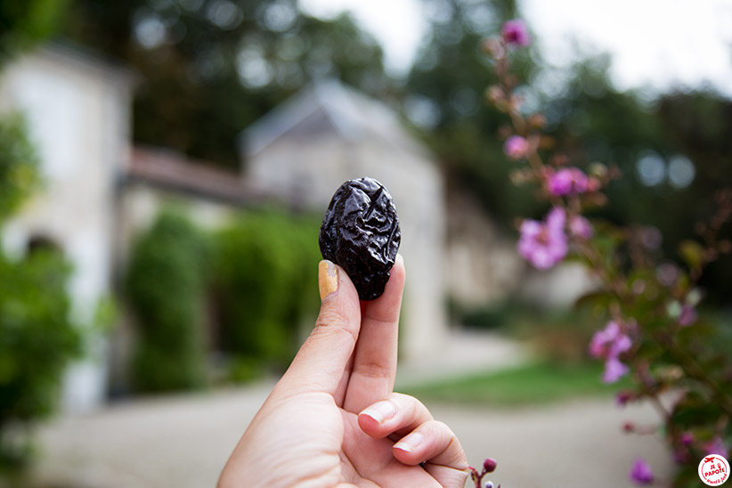Pruneau d'Agen