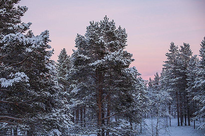 novembre Laponie finlandaise