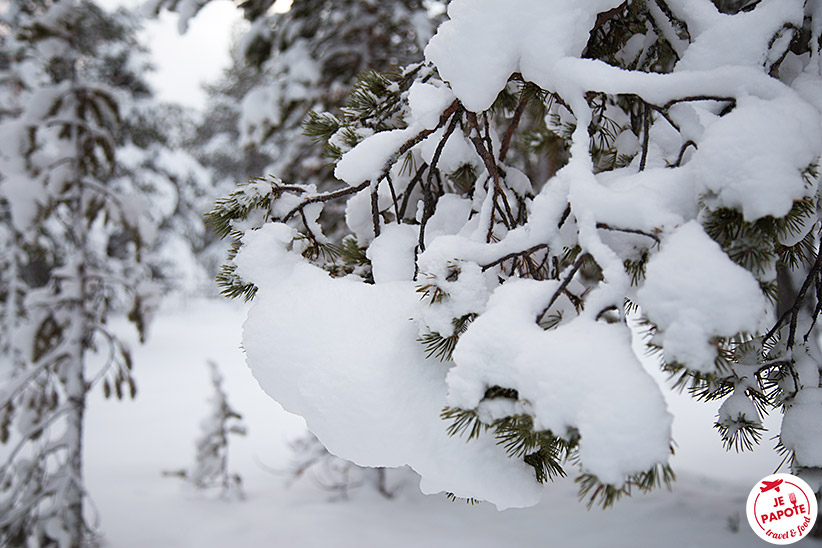 Neige novembre Laponie