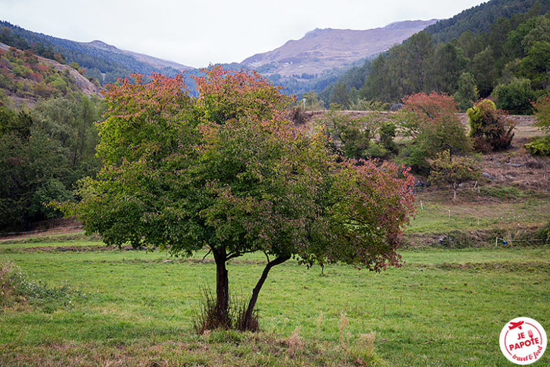 Randonnée champêtre Suisse