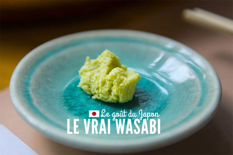 Découverte du vrai wasabi japonais Je Papote, blog voyage