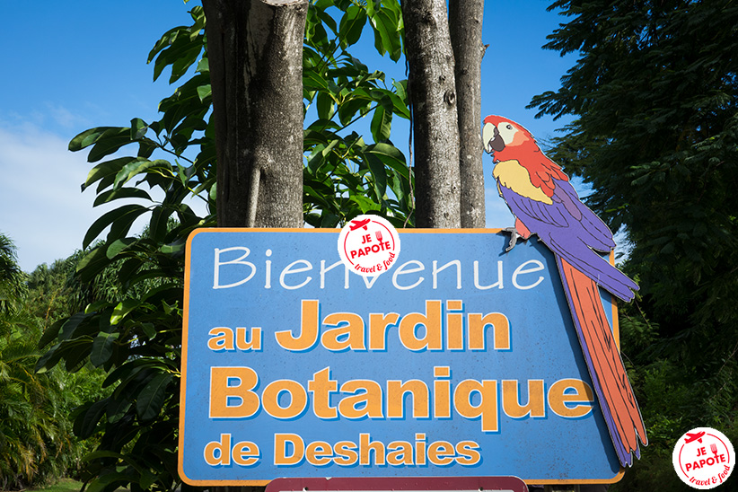 jardin botanique deshaies