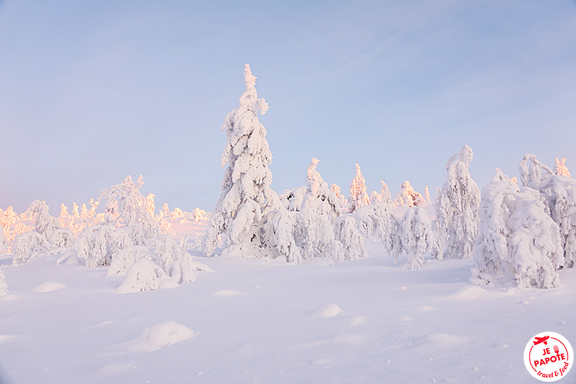 Voyage à Levi Kittila En Laponie Finlandaise Je Papote