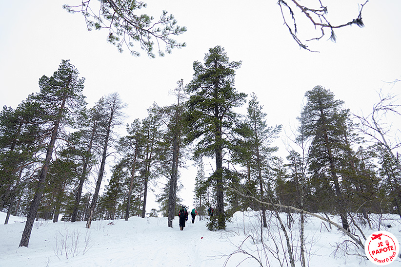 sortie aventures boreales