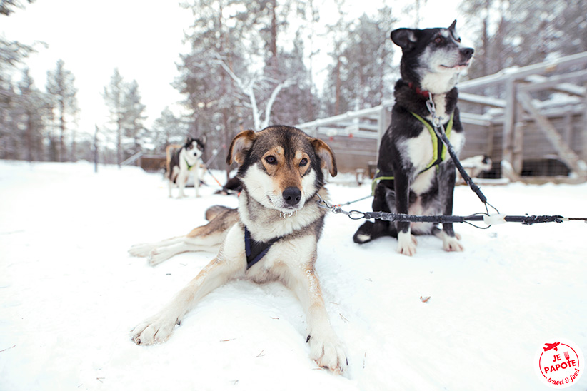 Amber et Halla Hetta Huskies