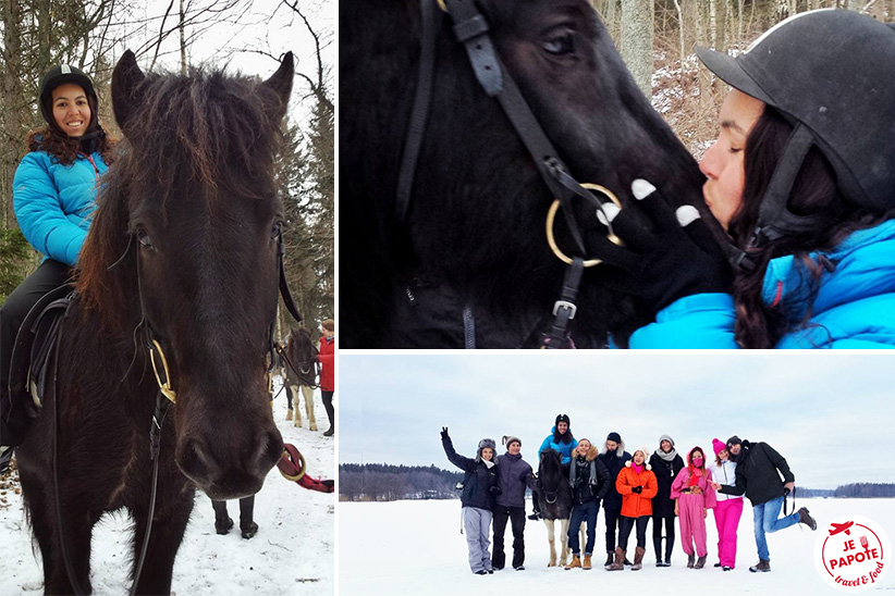 chevaux islandais finlande