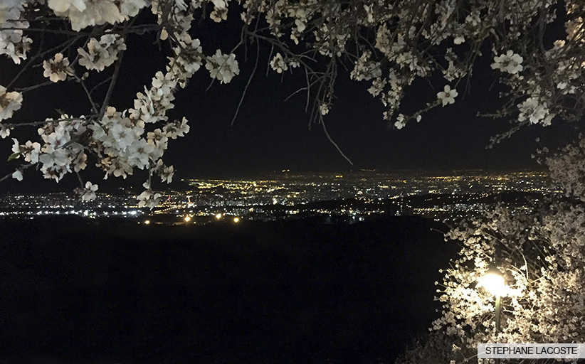Téhéran Iran