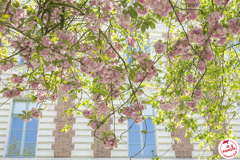 printemps rennes