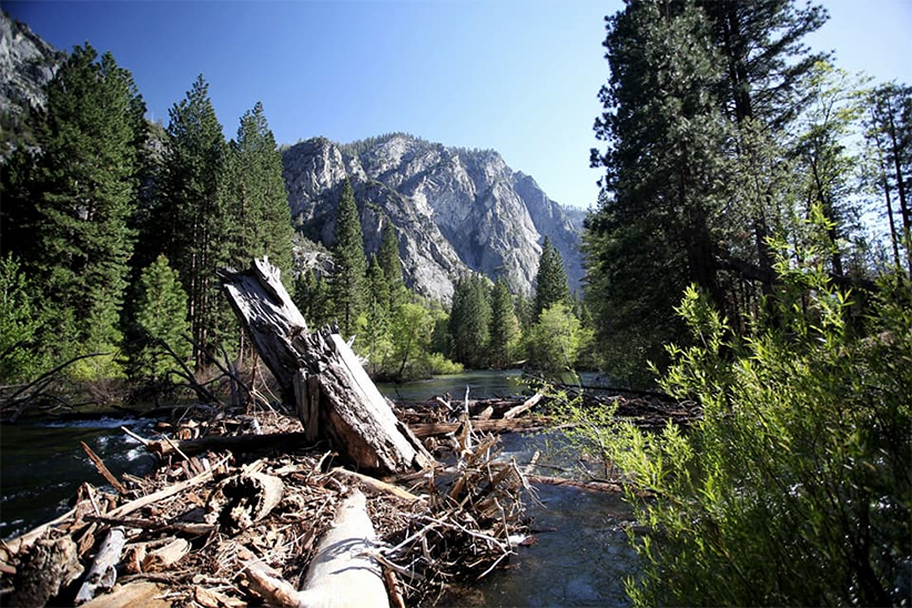 sequoia national park