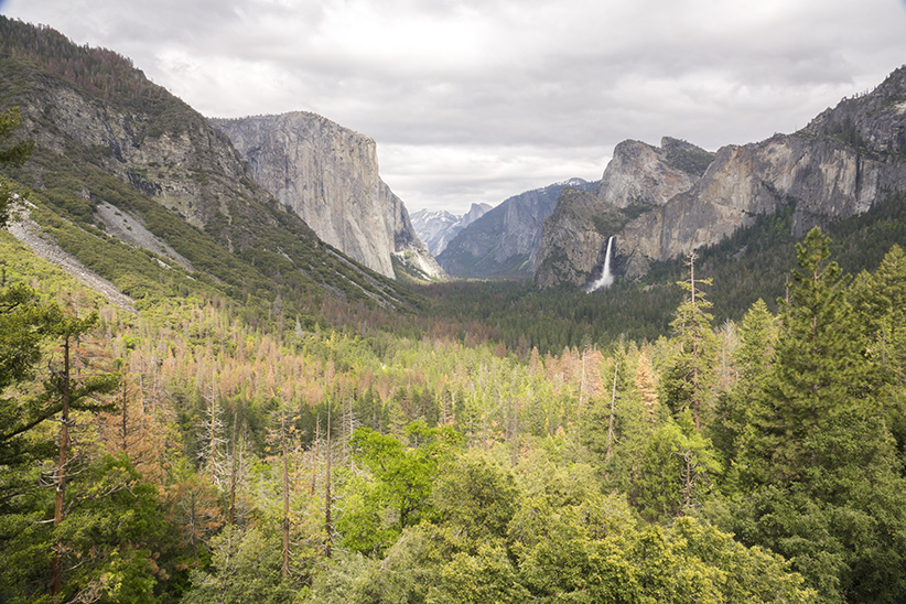 Yosemite