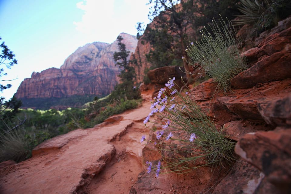 zion national park