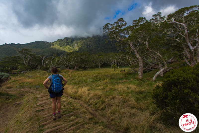 Randonnée La Réunion