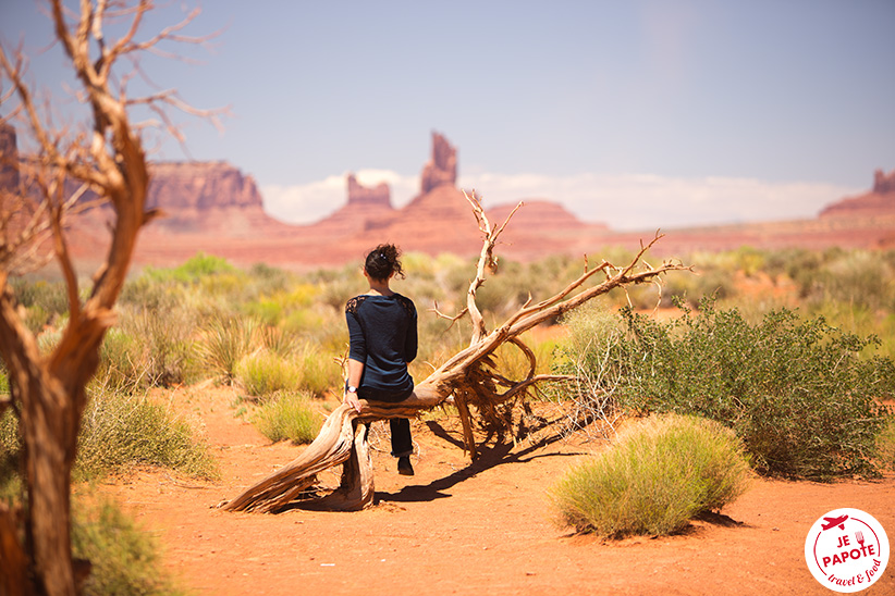 Tour de monument valley