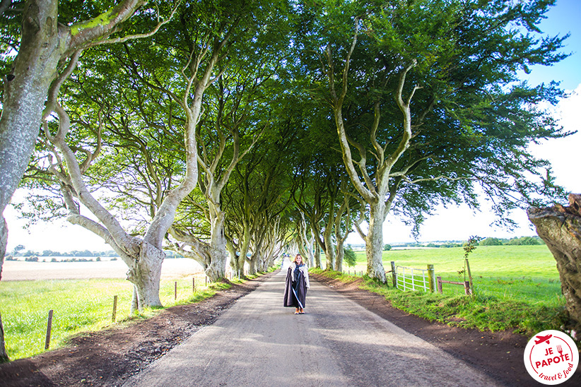 Dark Hedges game of thrones