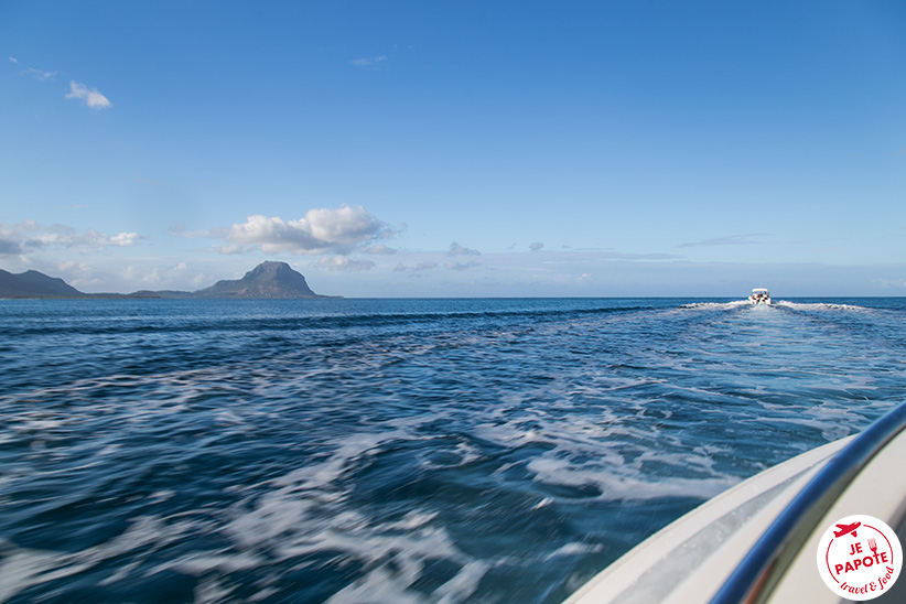 sortie dauphin Ile Maurice