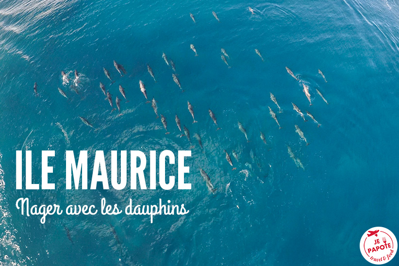 Réaliser un rêve : Nager avec les dauphins à l'Ile Maurice