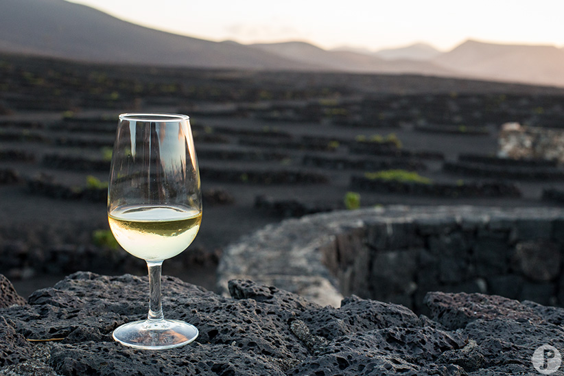 Vin Lanzarote