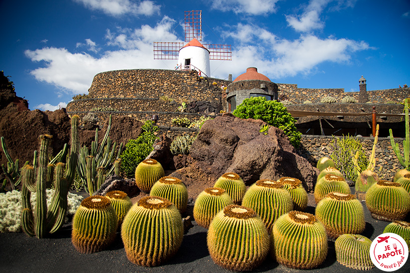 jardin de cactus