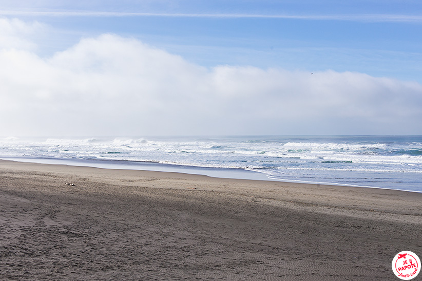 Ocean Beach San Francisco