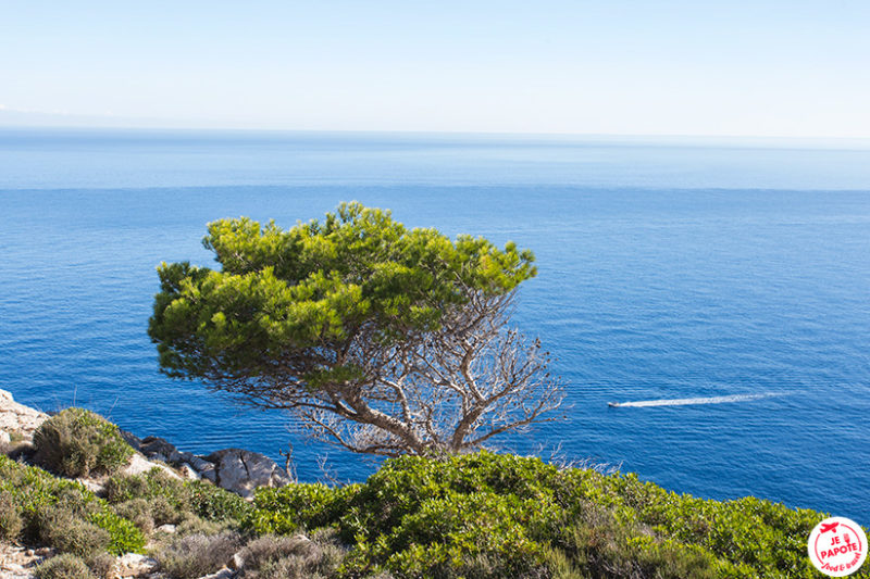 cap de formentor