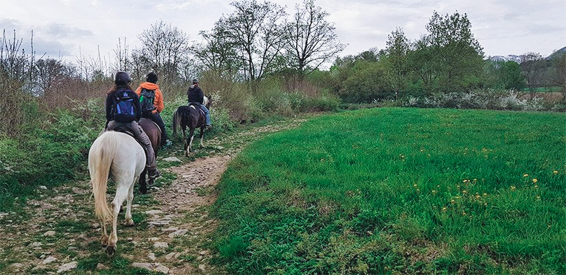 randonnée equestre champsaur