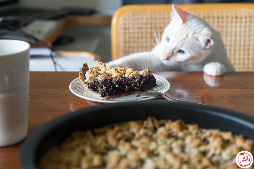 Tarte aux myrtilles