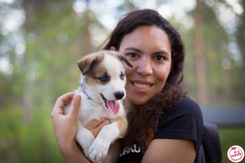 Bébé husky