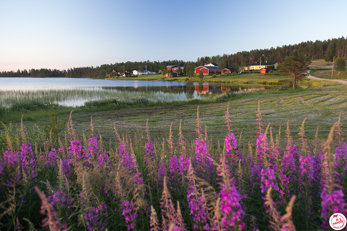 paysage laponie ete