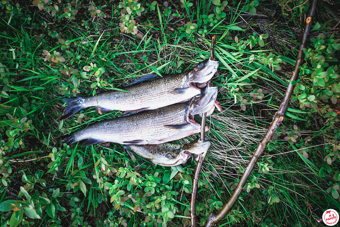 poissons peche