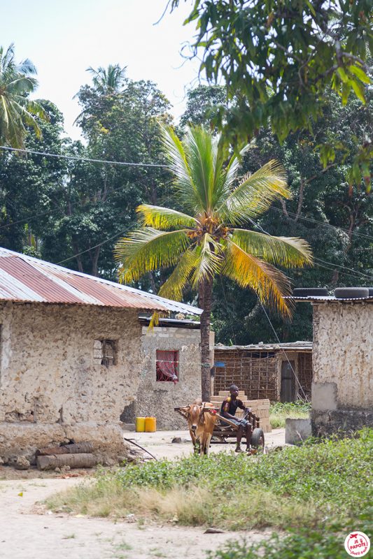 village zanzibar