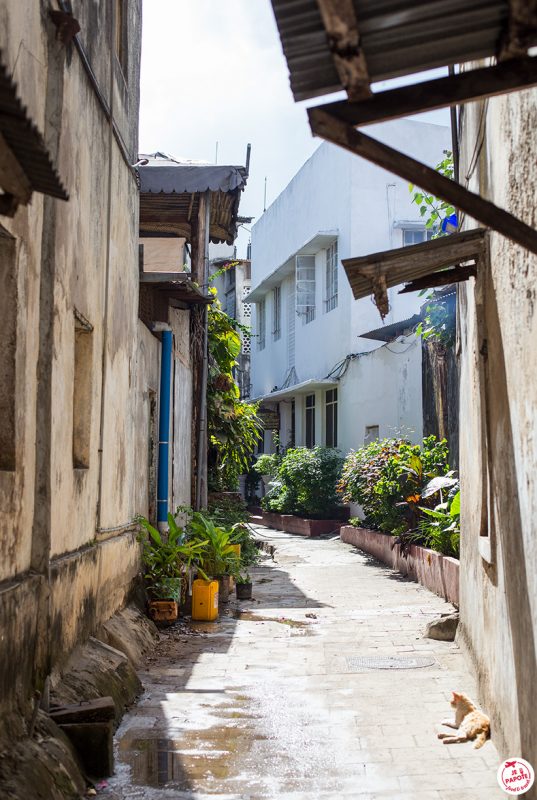 visiter stone town