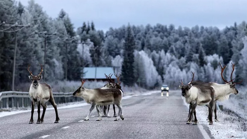 rennes sur la route
