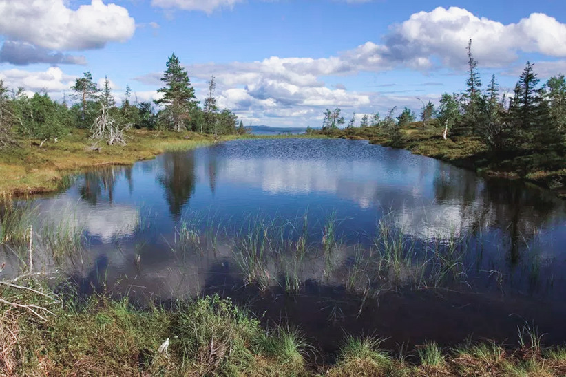 Parc National du Riisitunturi