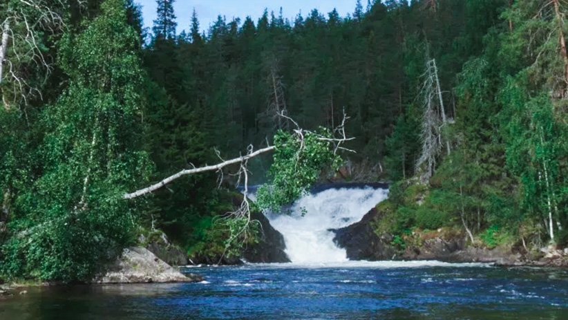 Parc National d'Oulanka