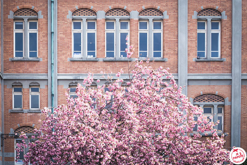 printemps lille