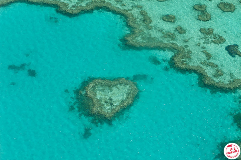 grande barrière de corail