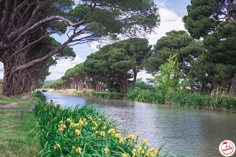 canal du midi