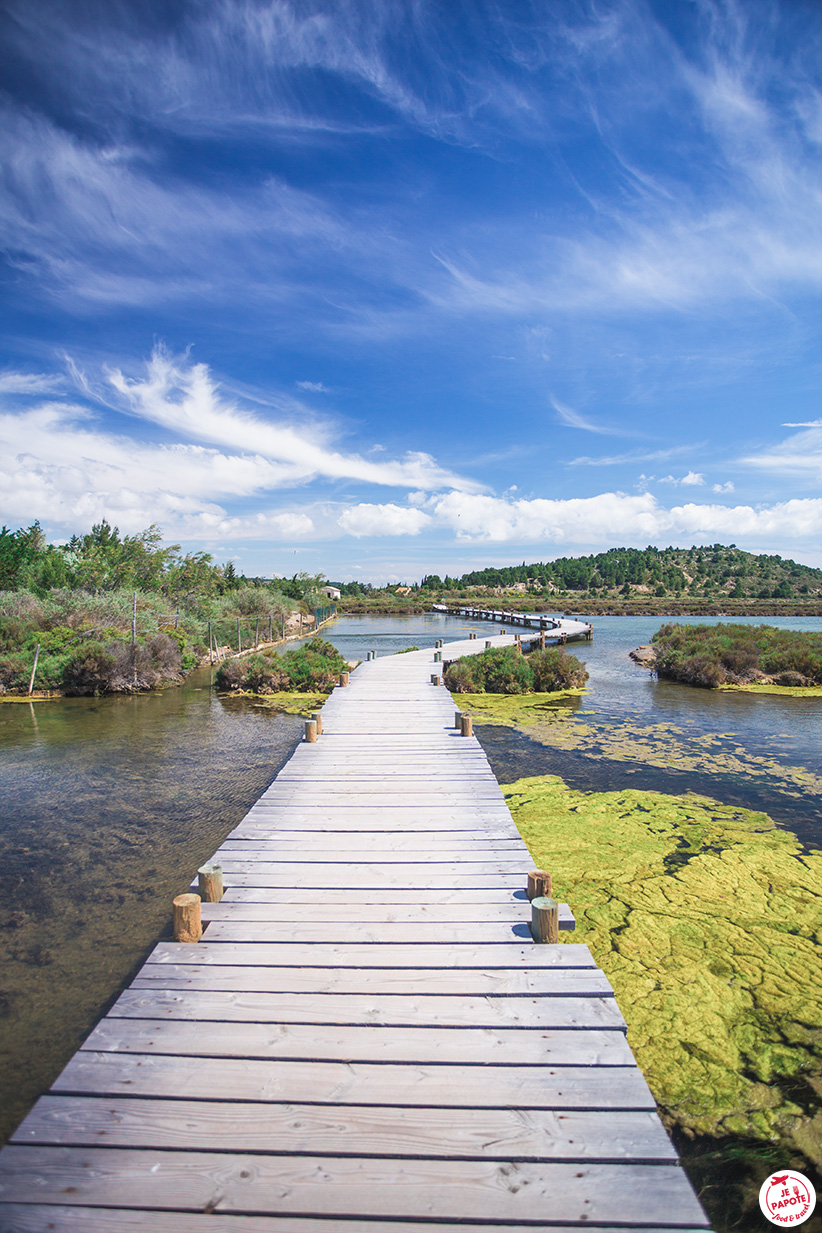 Etangs de Bages Sigean