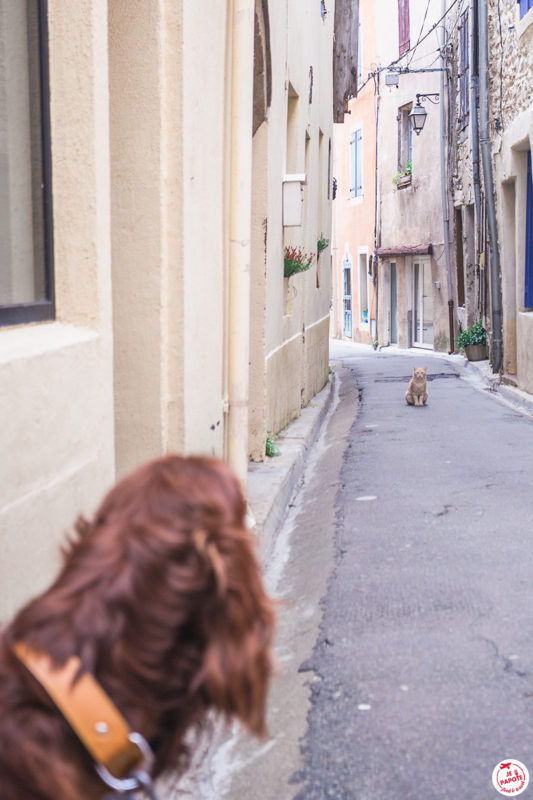 rue bize minervois