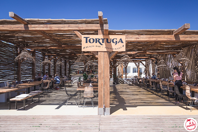 tortuga restaurant