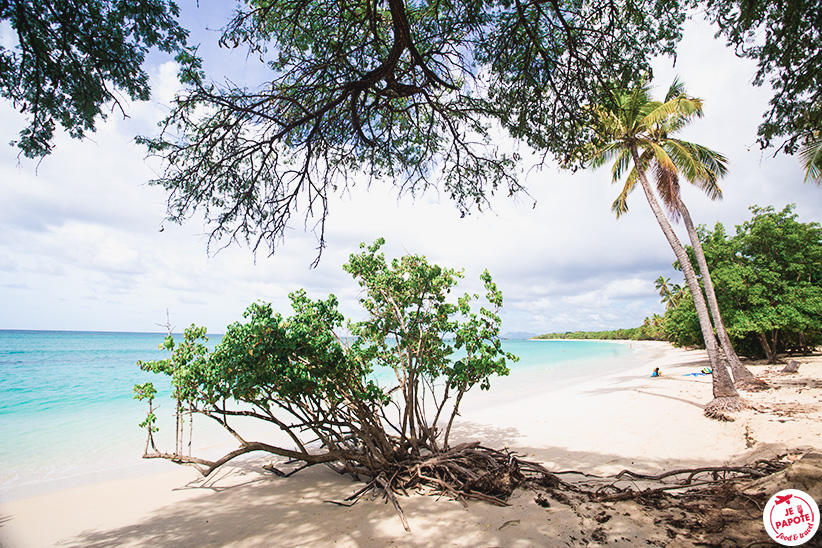 plage bmartinique