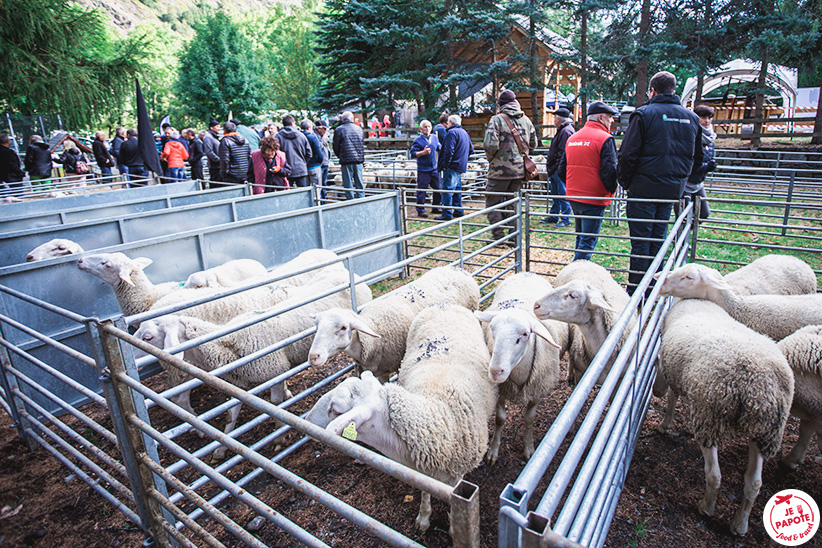 foire aux bestiaux la Chapelle en Valgaudemar